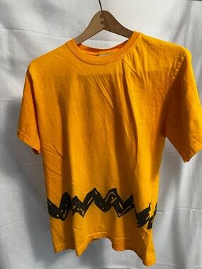 Peanuts Charlie Brown Zig Zag Orange Halloween Tee Cedar Fair Medium